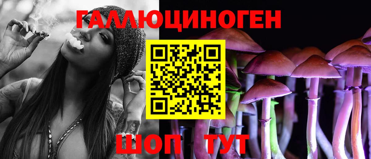 Галлюциногенные грибы Psilocybe Прохладный