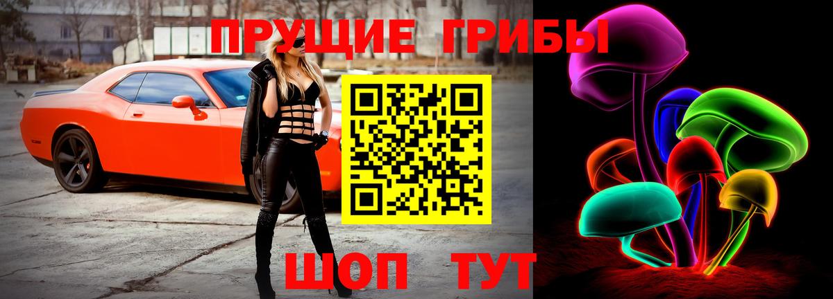 Прохладный  Галлюциногенные грибы GOLDEN TEACHER  Вход с VPN 